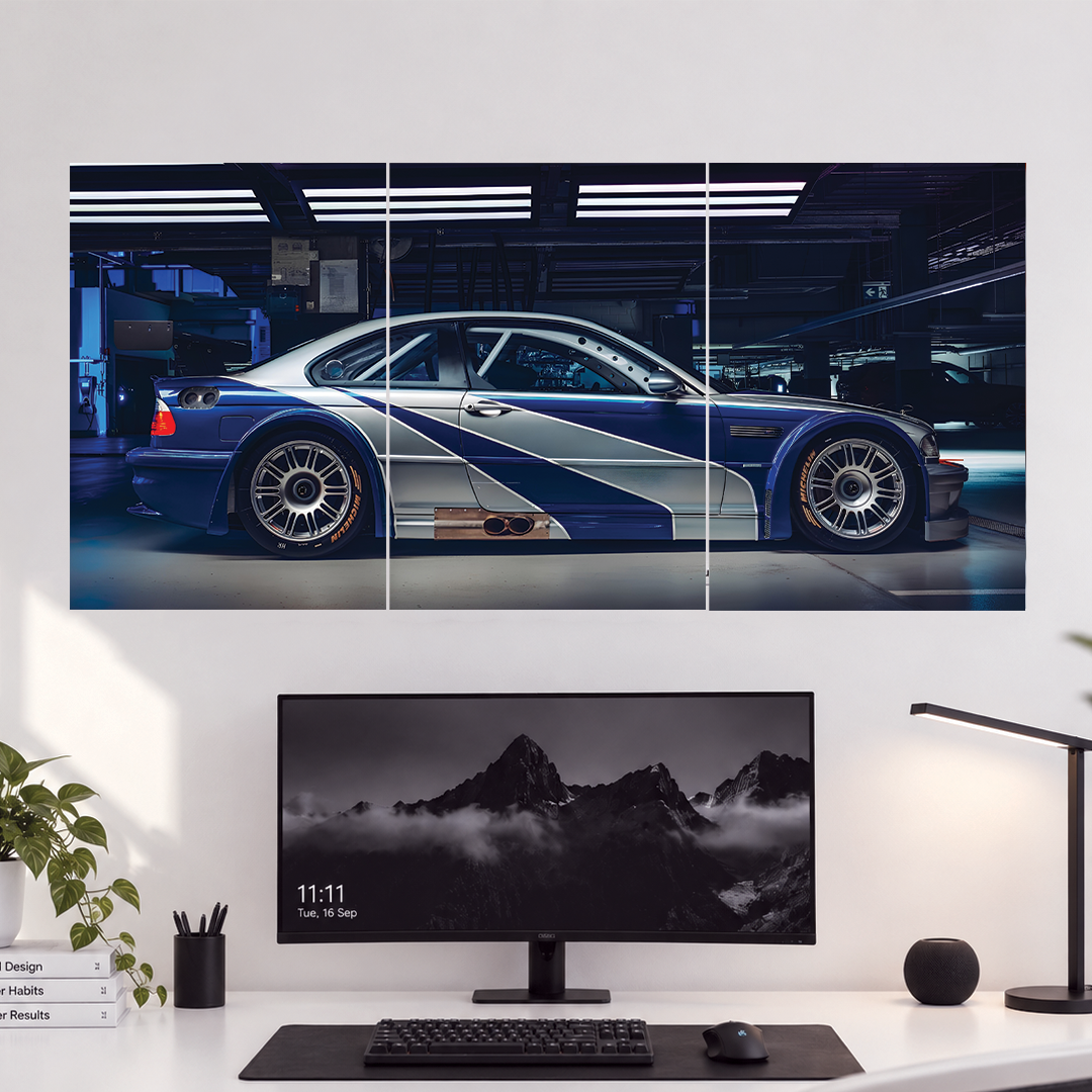 BMW Motorsports | 3 Piece Split | Cars