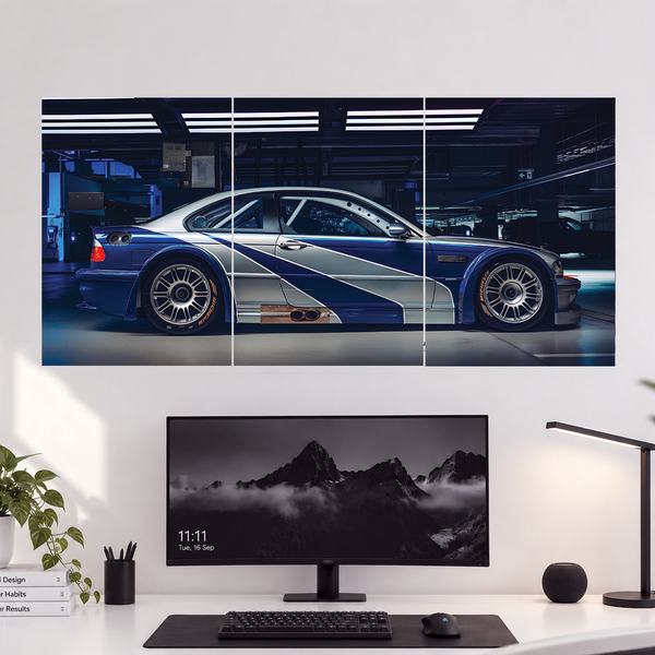 BMW Motorsports | 3 Piece Split | Cars