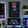 Sage | Valorant | Gaming | GM54