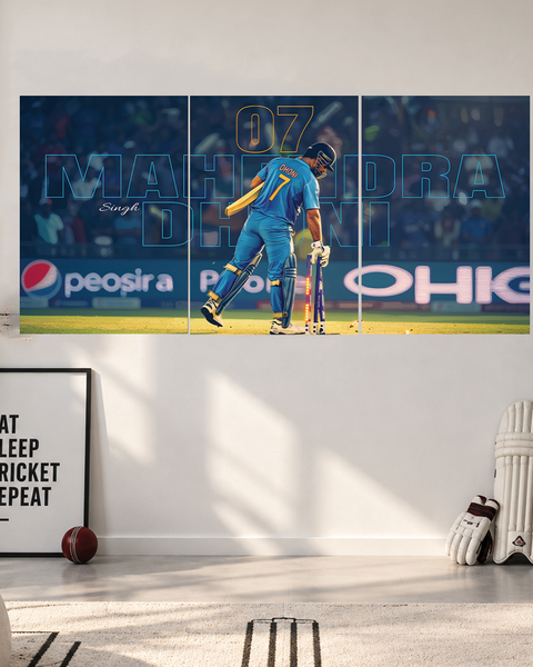 MS Dhoni 2 | 3 Piece Split | Cricket