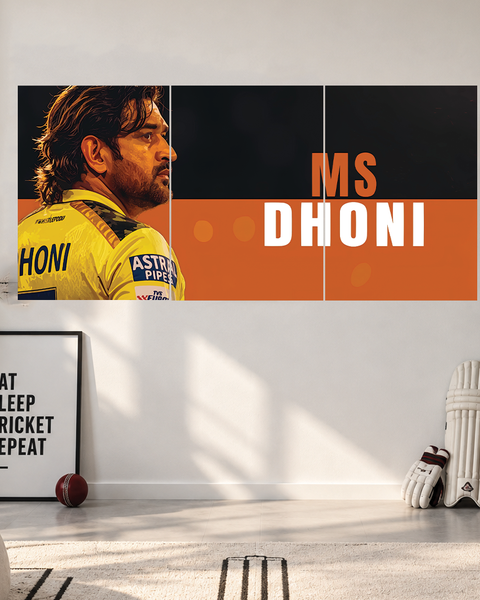 MS Dhoni | 3 Piece Split | Cricket