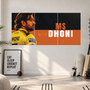 MS Dhoni | 3 Piece Split | Cricket